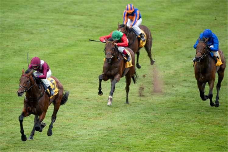 MISHRIFF winning the Betfair Exchange Free Bet Streak Newmarket Stakes (Listed)