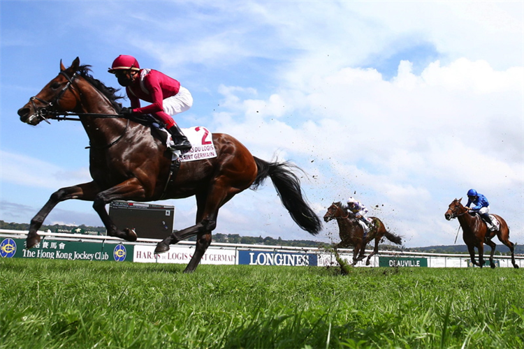 MISHRIFF winning the Prix Guillaume D'ornano - Haras Du Logis Saint-Germain at Deauville in France.