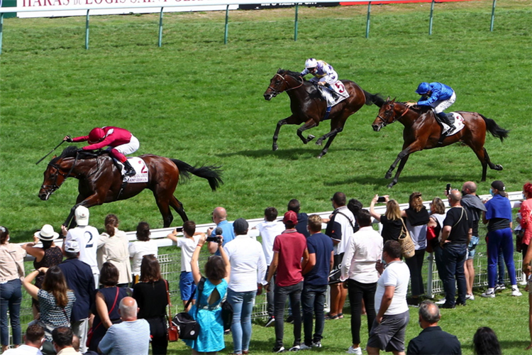 MISHRIFF winning the Prix Guillaume D'ornano - Haras Du Logis Saint-Germain at Deauville in France.