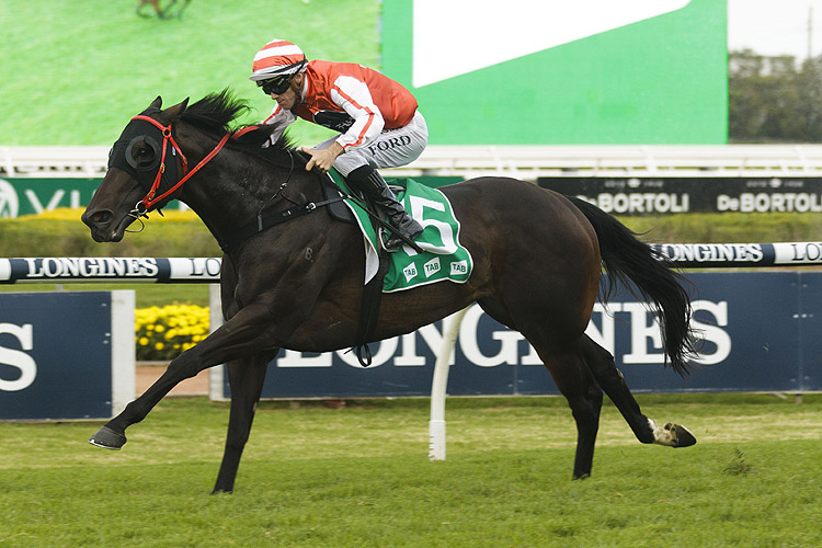 MISS EXFACTOR winning the Birthday Card Stakes.