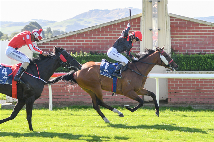 MISS FEDERER winning the Nzb Airfreight Stakes