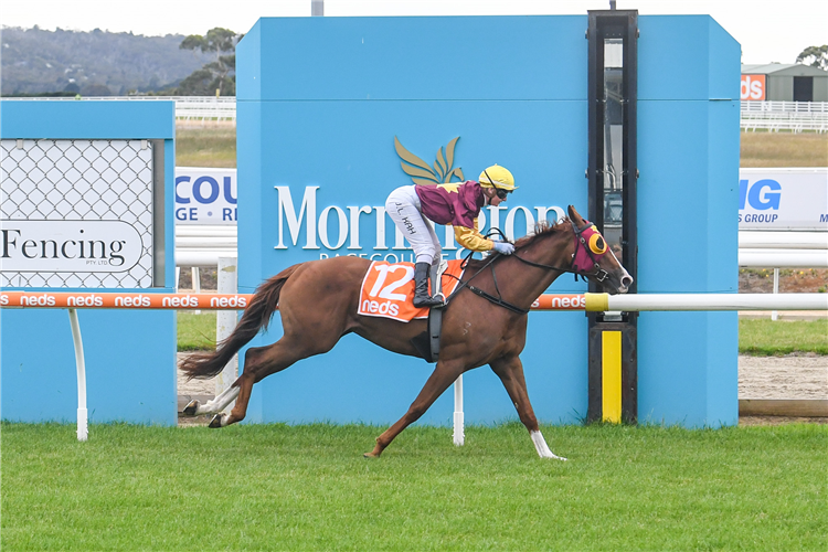 MISS GOBCAIN winning the Cranbourne Fencing Plate Mdn at Mornington in Australia.