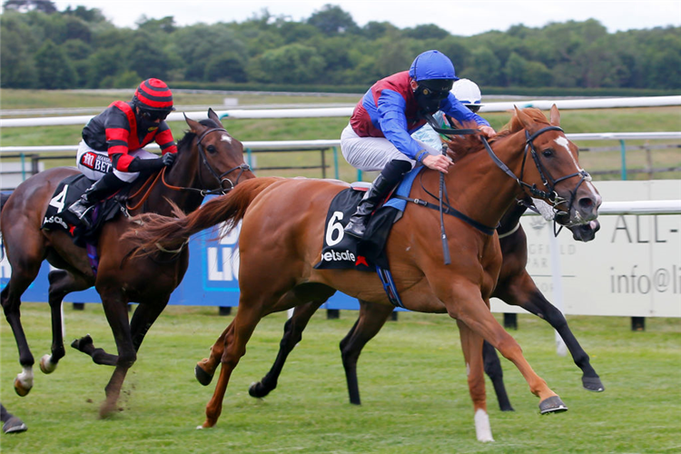 MISS YODA winning the Betsafe Top Price All Runners Oaks Trial Fillies' Stakes at Lingfield Park in Lingfield, England. )