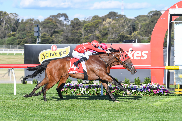 MISSILE MANTRA winning the Summoned Stks.