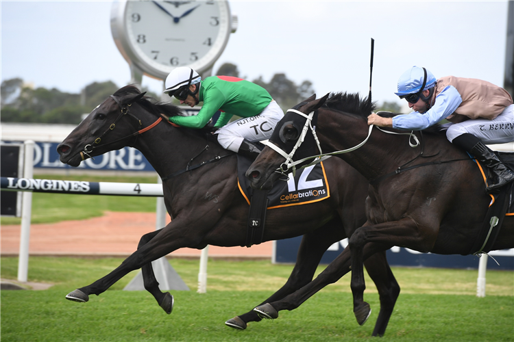 MISSYBEEL winning the Cellarbrations Epona Stakes.