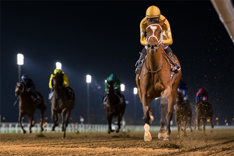 MNASEK winning the Longines Spirit Collection Challenge