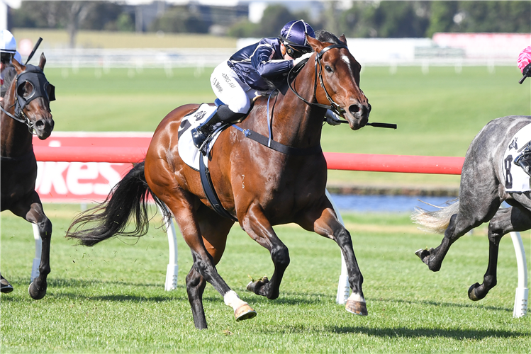 MODEAR winning the Thoroughbred Club Handicap at Ladbrokes Park Hillside in Springvale, Australia.