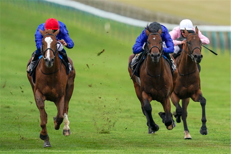 MODERN NEWS winning the Watch Racing For Free On Betfair EBF Stallions Maiden Stakes
