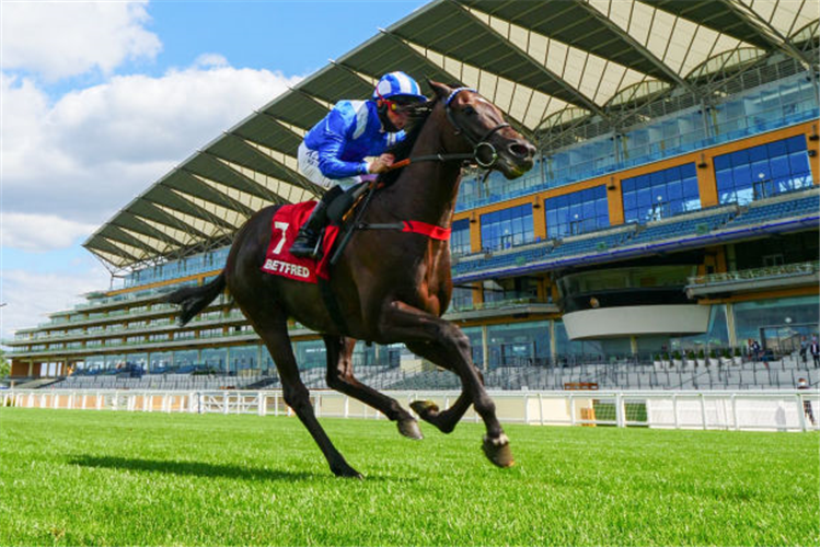 MOHAATHER winning the Betfred Summer Mile Stakes in Ascot, England.