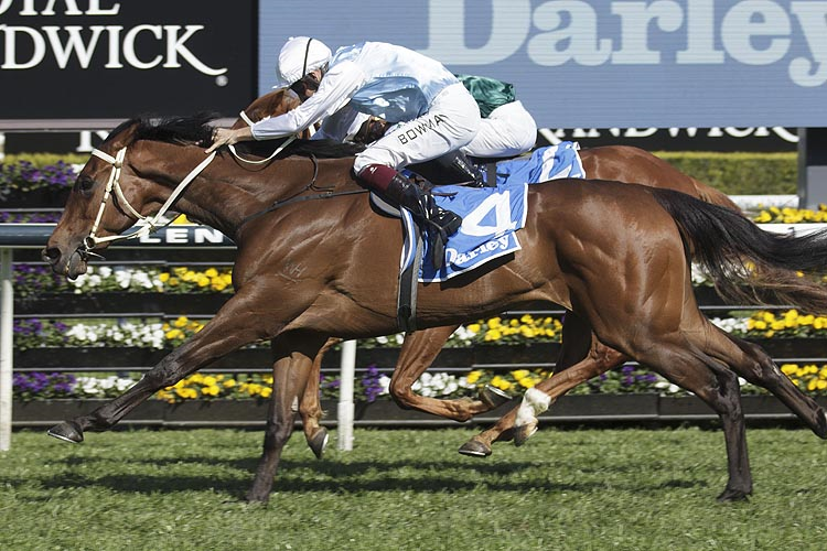 MONTEFILIA winning the Darley Flight Stakes