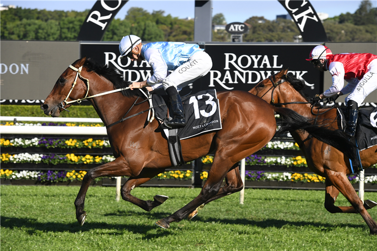 MONTEFILIA winning the Moet & Chandon Spring Champion Stakes at Royal Randwick in Australia.