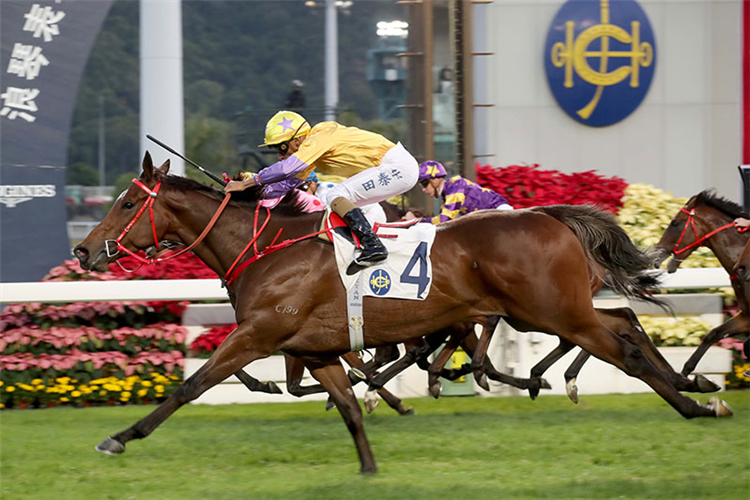 More Than This is one of the major contenders in this year’s BMW Hong Kong Derby.
