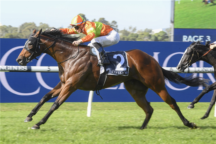 MO'S CROWN winning the Magna Grecia At Coolmore.