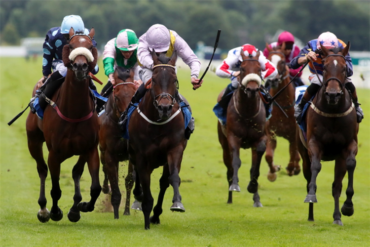 MOSS GILL winning the John Smith's City Walls Stakes at York in England.