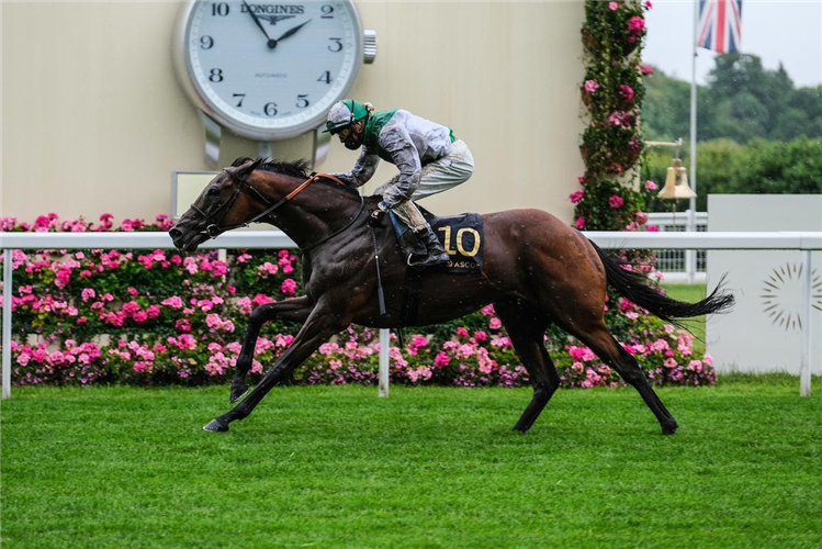 MOUNTAIN ANGEL winning the Wolferton Stakes at Ascot in England.