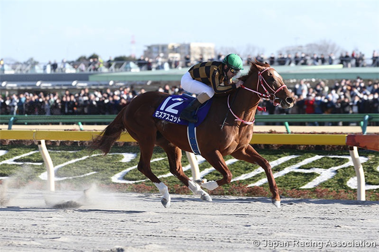 「莫斯阿斯科」夺冠东京二月锦标赛（ February Stakes）