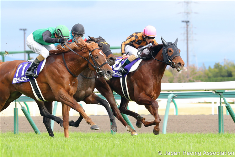 MOZU SUPERFLARE winning the Takamatsunomiya Kinen in Chukyo, Japan.