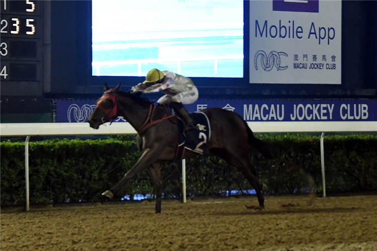 MR FORTUNE winning the THE FEI NGO SHAN