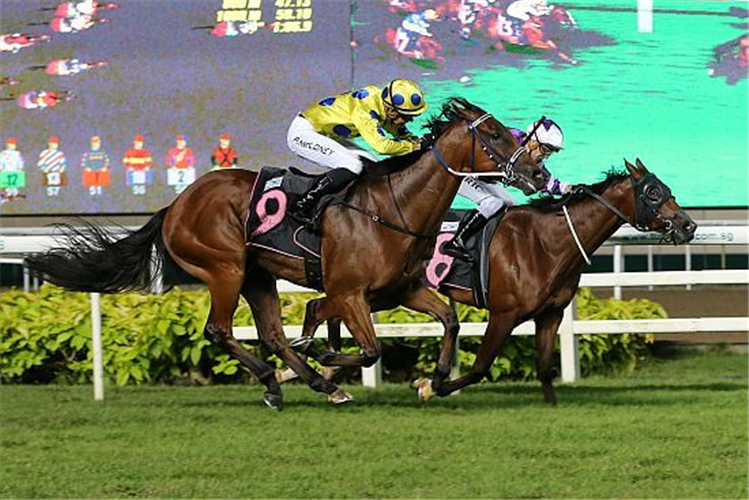 Mr Malek (Patrick Moloney, on the outside) motors home on the outside to dead-heat with Makkem Lad (Vlad Duric).