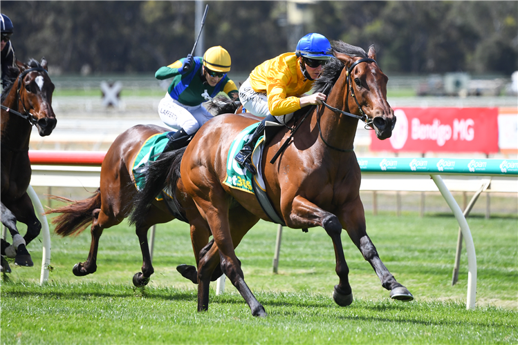 MRS BECKHAM winning the bet365 Racing Refund BM70 Handicap in Bendigo, Australia.