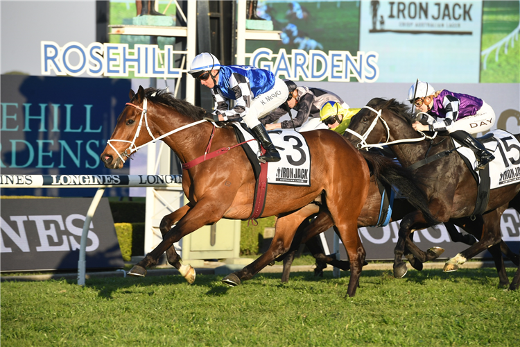 MUGATOO winning the Iron Jack Premiers Cup.