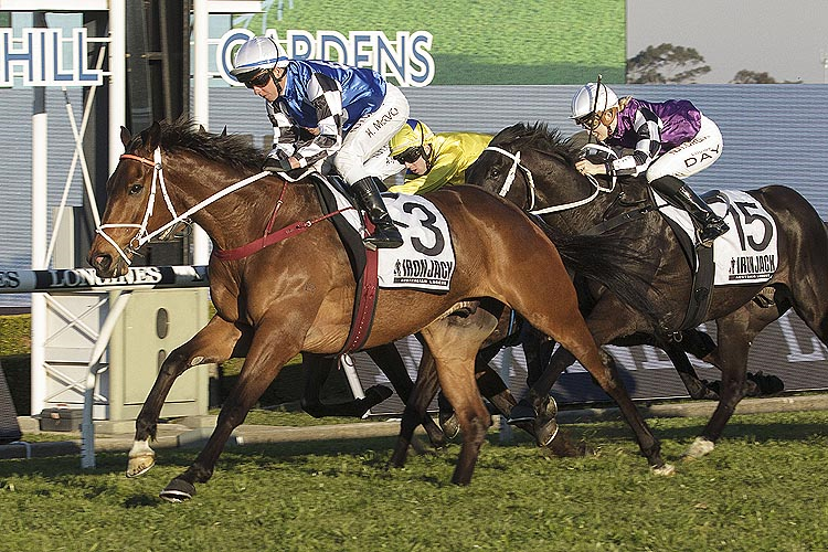 MUGATOO winning the Iron Jack Premiers Cup