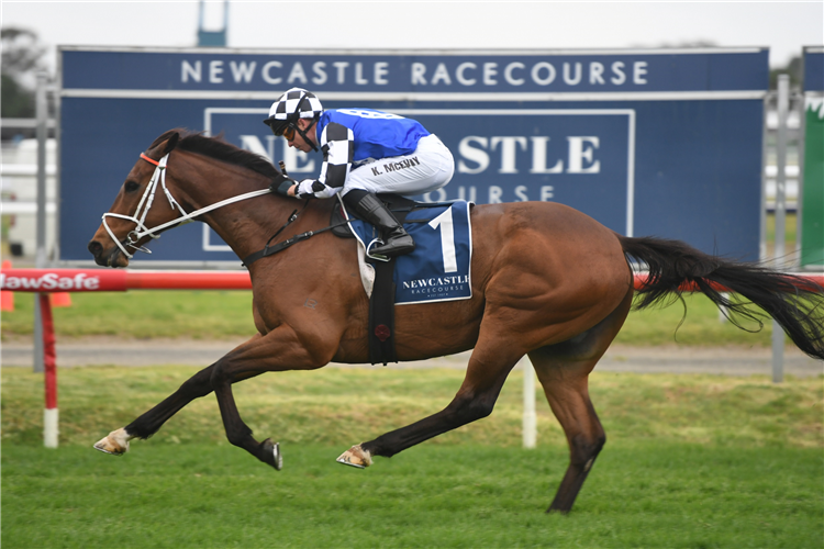 MUGATOO winning the Sharp Electronics N'castle Cup.