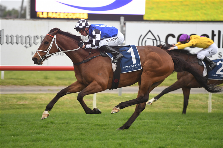 MUGATOO winning the Sharp Electronics N'castle Cup.