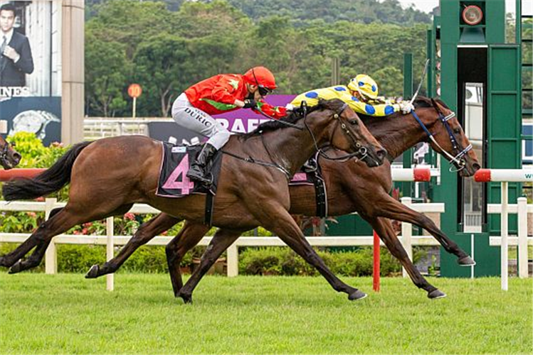 MURAAHIB winning the ALWAYS CERTAIN 2011 STAKES CLASS 2