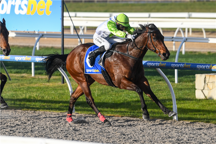 MUSIC ADDITION winning the Watch Live Racing On The Sportsbet App Synthetic Sprint Series Final at Sportsbet Pakenham Synthetic in Pakenham, Australia.
