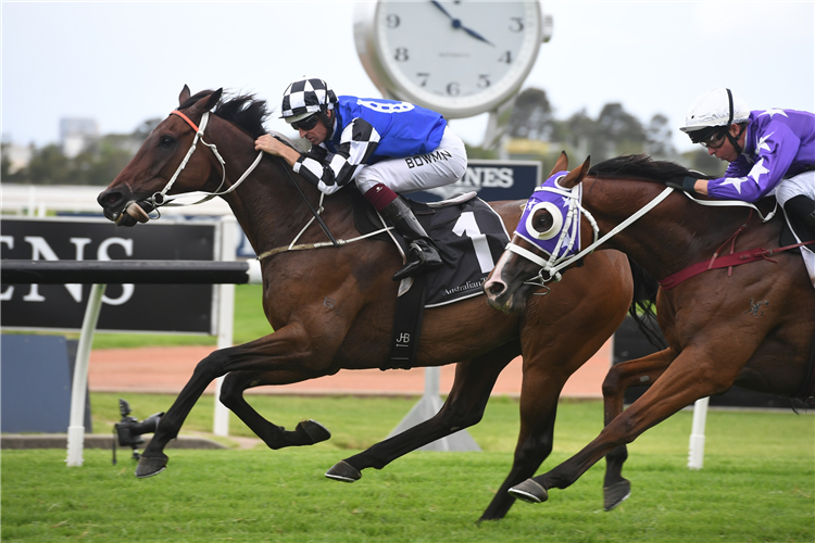 MUSTAJEER winning the Parramatta Cup (LR).