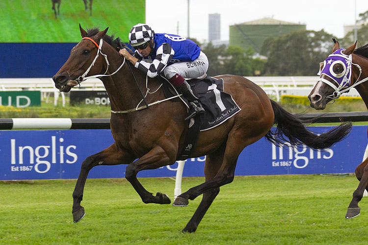 MUSTAJEER winning the Parramatta Cup