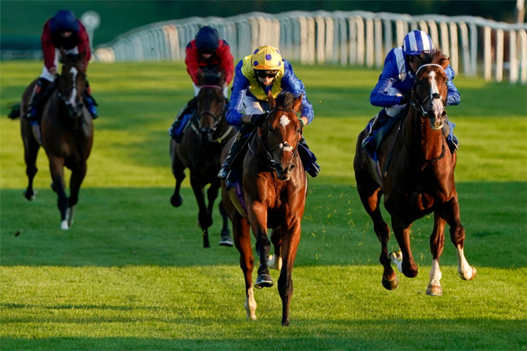 MY FRANKEL winning the Welcomm Communications Maiden Stakes (Div 2) in Leicester, England.