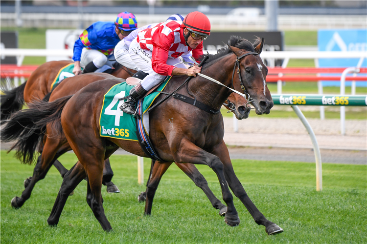 NATIONAL CHOICE winning the Roderick Insurance Brokers SV 2YO Handicap.