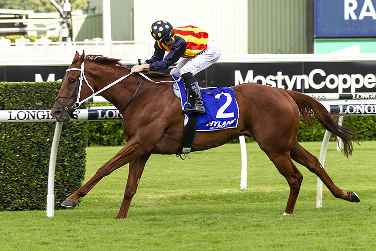 NATURE STRIP winning the Hyland Race Colours Challenge