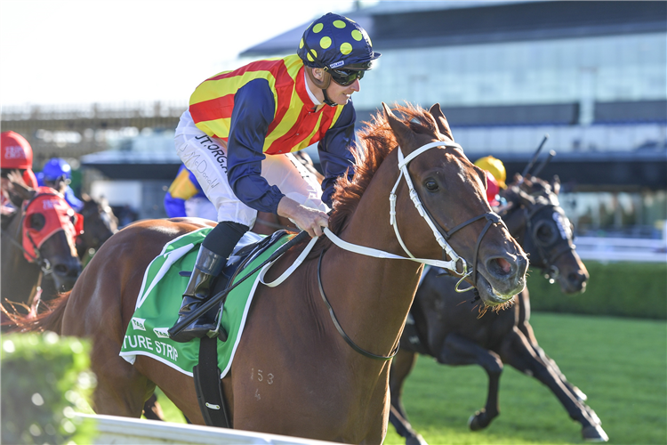 NATURE STRIP winning the Tab T J Smith Stakes..