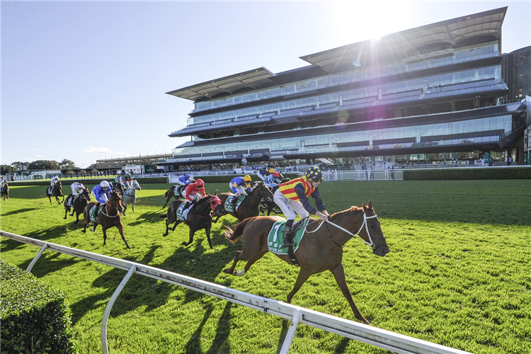 NATURE STRIP winning the Tab T J Smith Stakes.