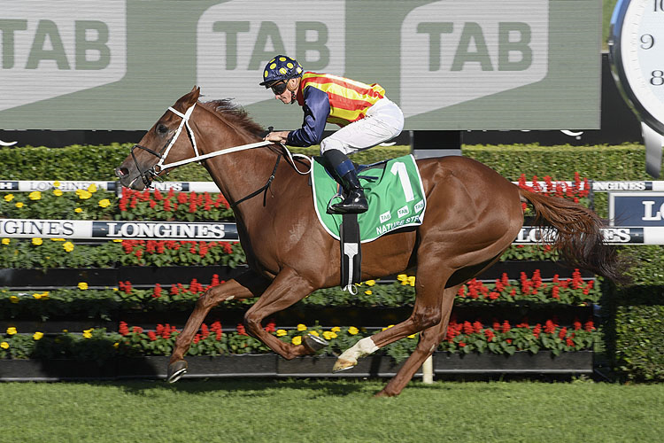 NATURE STRIP winning the Tab T J Smith Stakes