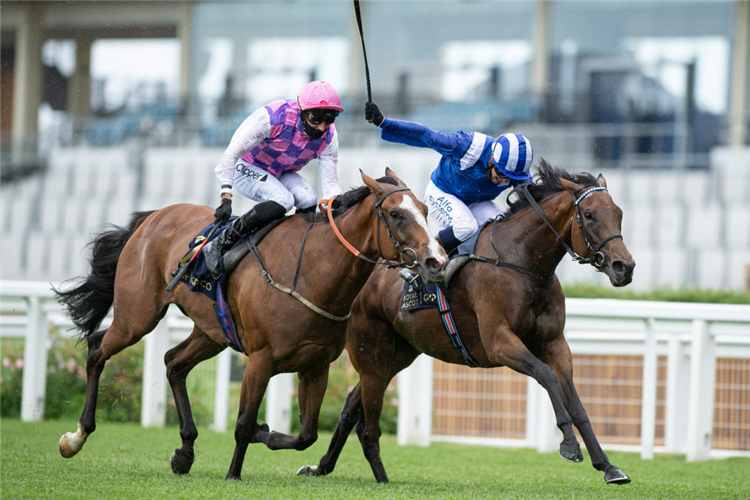 NAZEEF (R) winning the Duke Of Cambridge Stakes at Ascot in England.