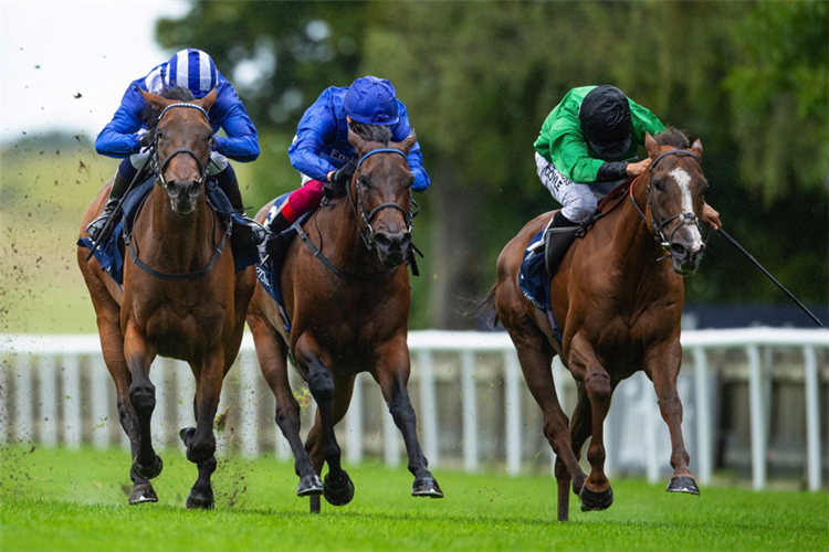 NAZEEF (L) winning the Falmouth Stakes at Newmarket in England.
