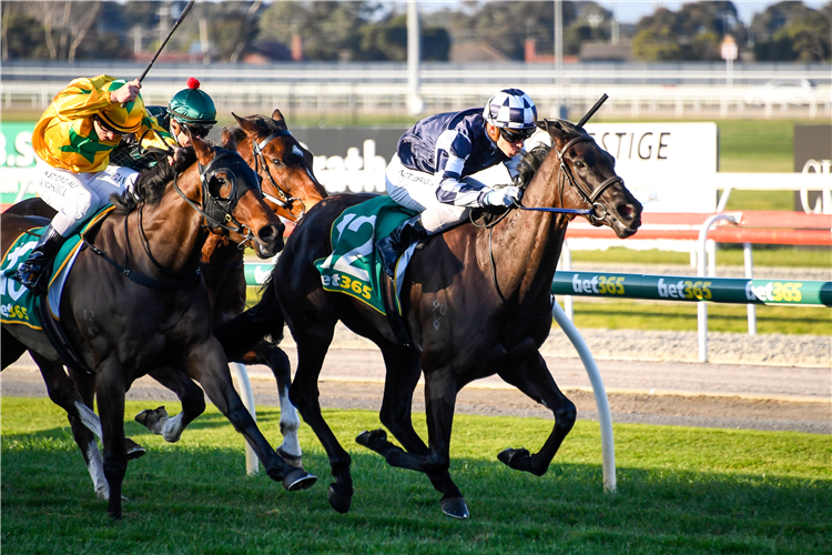 NEED NEW FRIENDS winning the Sports Underwriting BM64 Handicap in Geelong, Australia.