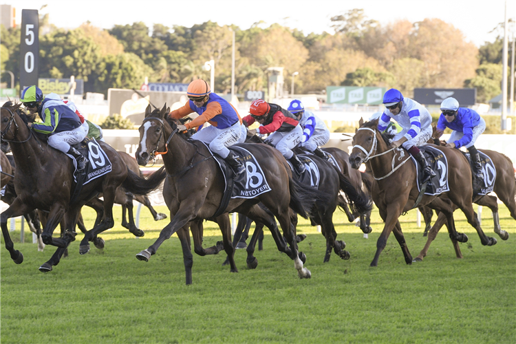 NETTOYER winning the The Star Doncaster Mile.