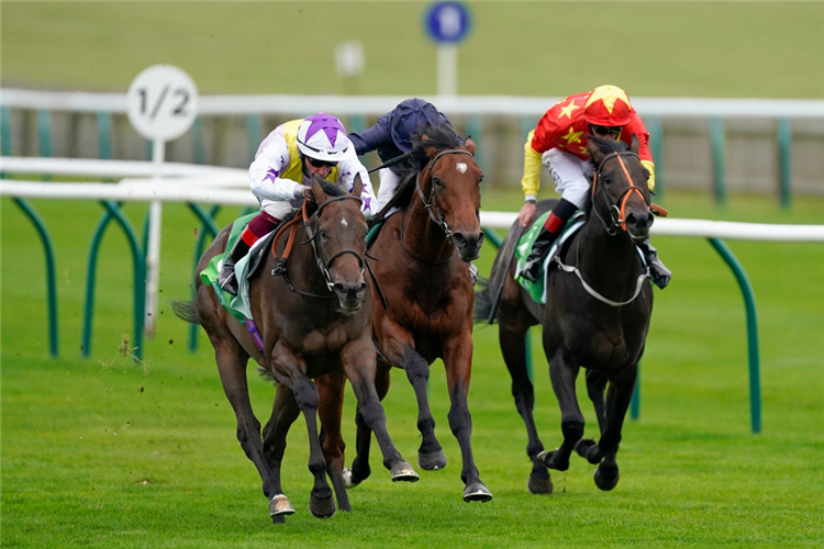 NEW MANDATE (L) winning the Royal Lodge Stakes at Newmarket in England.