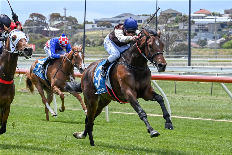 NOBEL HEIGHTS winning the Raffertys Tavern Maiden Plate in Warrnambool, Australia.