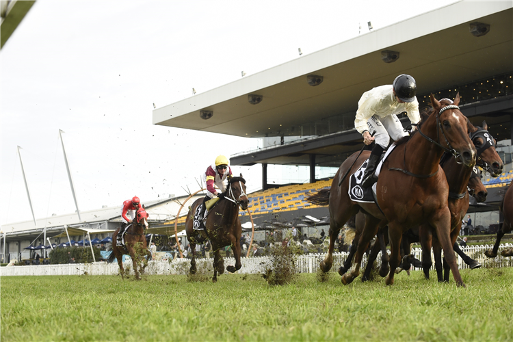 NOBLE BOY winning the Kia Winter Stakes.