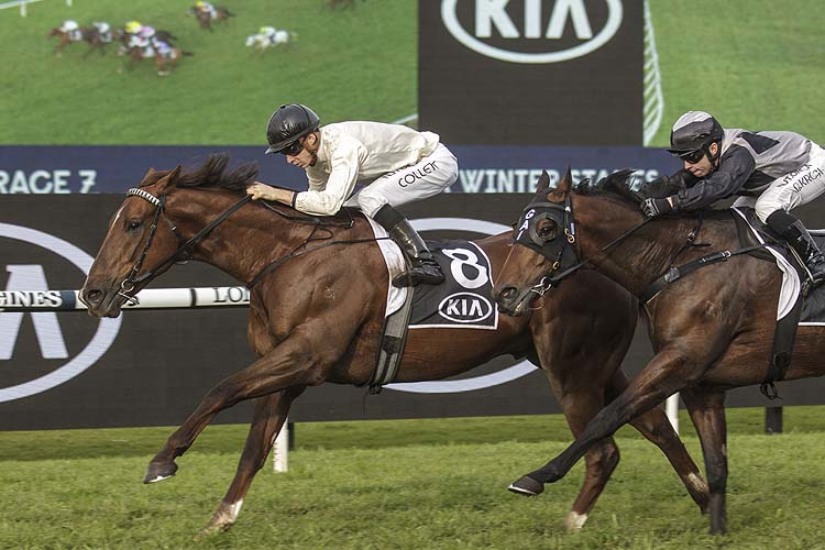 NOBLE BOY winning the Kia Winter Stakes