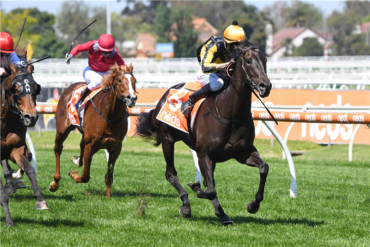 NONCONFORMIST winning the Neds Coongy Cup in Caulfield, Australia.