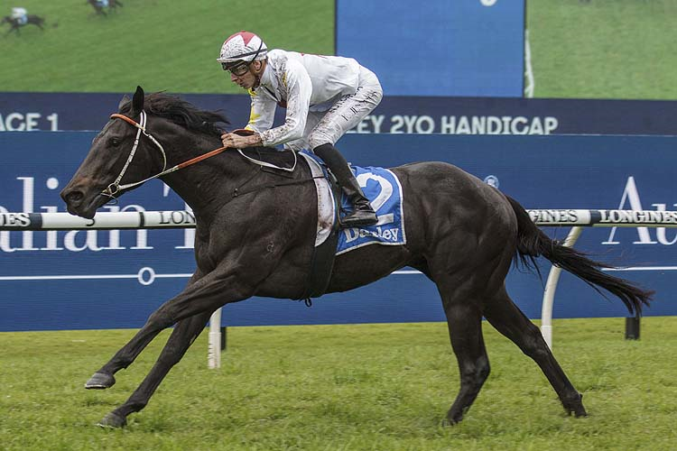 NORTH PACIFIC winning the Darley Hcp