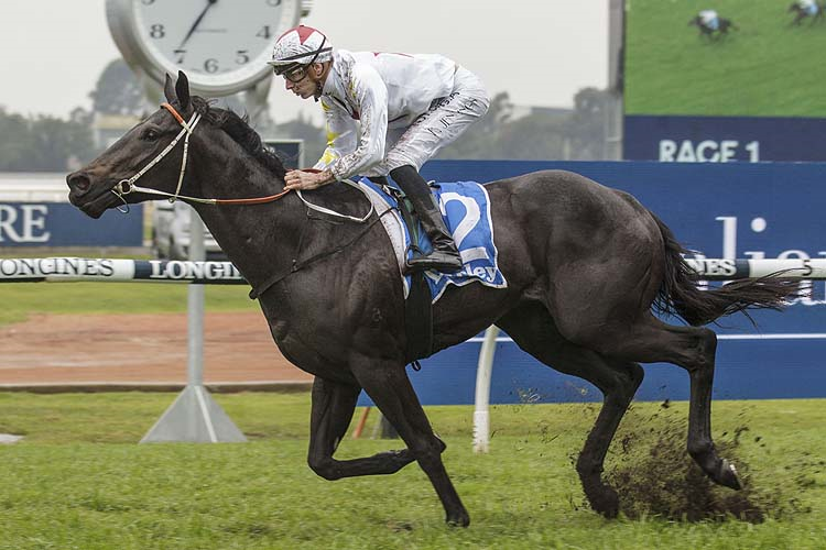 NORTH PACIFIC winning the Darley Hcp