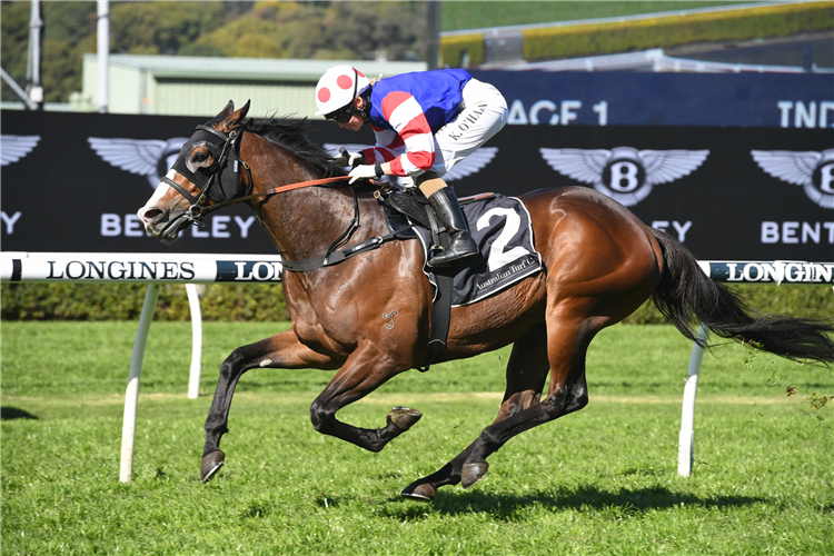 NOT FEINT HEARTED winning the Industry Celebration Day Handicap.